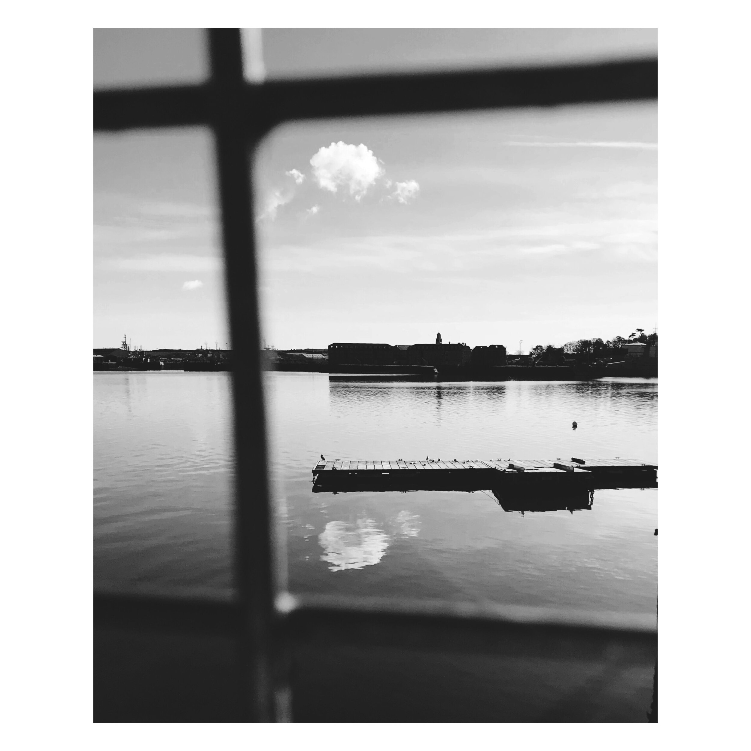 Photo-a-day photograph