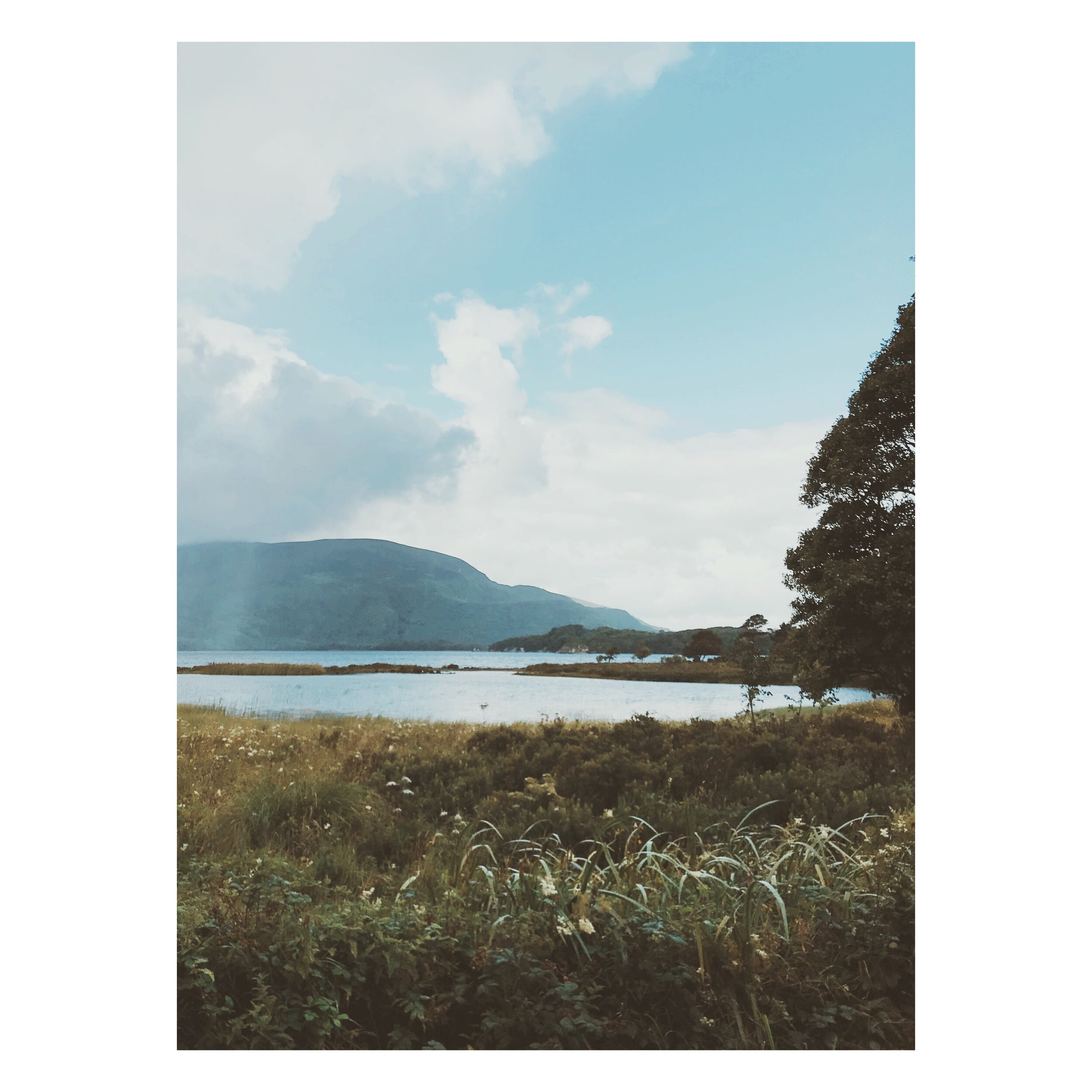Killarney National Park, Kerry